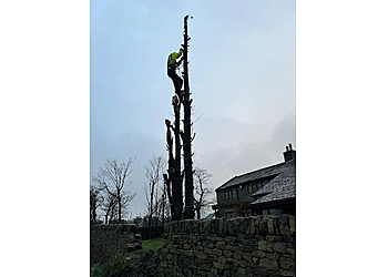 Huddersfield Tree Cutting and Garden Maintenance