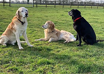 Hunters Lodge Country Boarding Kennels & Cattery