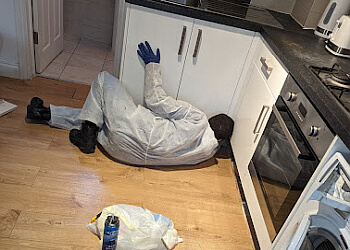 Huntsman Pest Control Bury