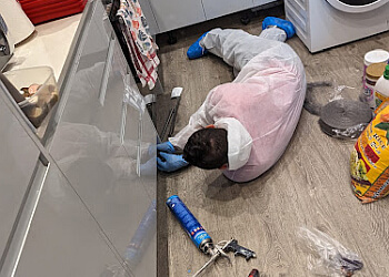 Huntsman Pest Control Bury