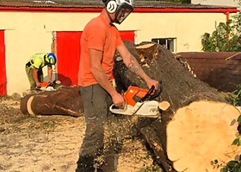 Hywel Jones Tree Services