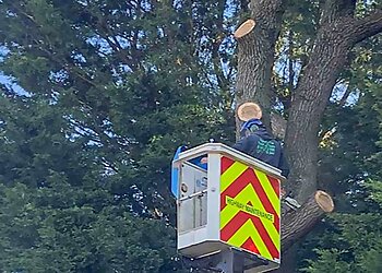 Hywel Jones Tree Services