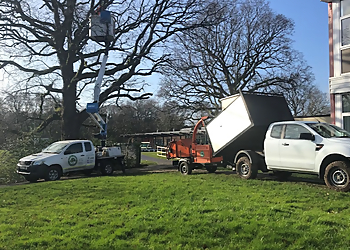 Hywel Jones Tree Services