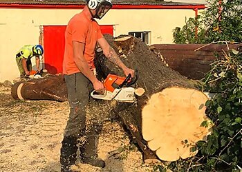 Hywel Jones Tree Services