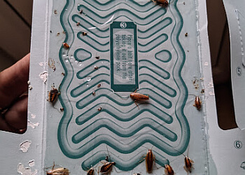 Ian Smith Pest Control