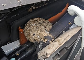 IanSmith Pest Control