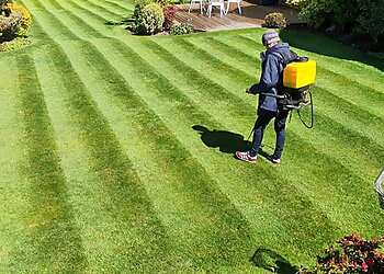Ideal Lawn Care