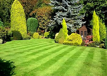 Ideal Lawn Care
