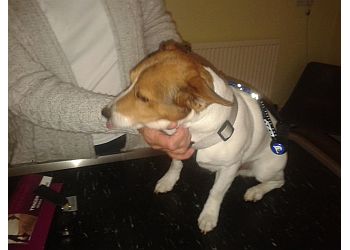 Iffley Vets Oxford & Wheatley