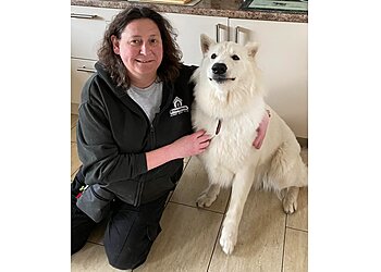 In The Dog House Training