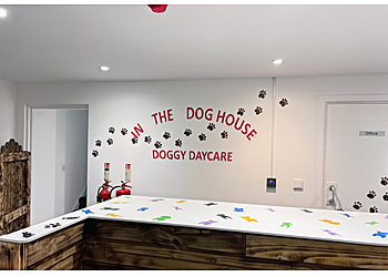 In The Doghouse Doggy Darecare Ltd