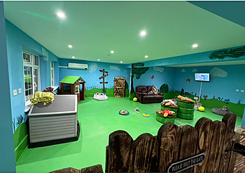 In The Doghouse Doggy Darecare Ltd