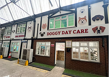 Stafford dog daycare centre In The Doghouse Doggy Darecare Ltd image 1