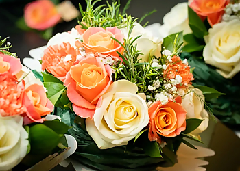 Inspirations by Hannah