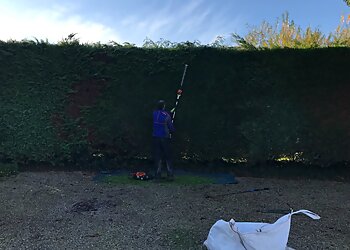 Irving Grounds Maintenance