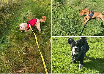 It's A Dogs Life Chorley