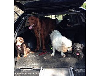 It’s a Pup’s Life