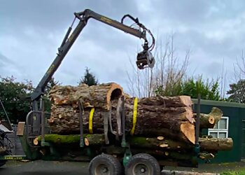 JC Tree & Grounds Maintenance