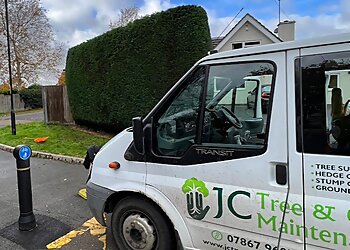 Solihull tree services JC Tree & Grounds Maintenance image 1