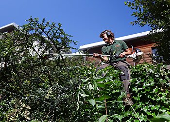 JDS Gardening Edinburgh