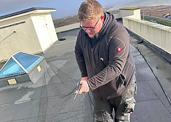 JL Pest Control, Ltd.