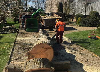 JNM Tree Services