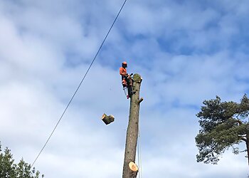 J Rennison Tree Contractors