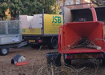 JSB Tree Surgery