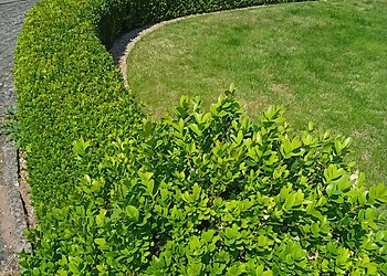 J-Scapes Gardening and Landscaping Services