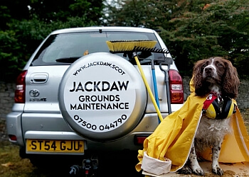 Jackdaw Gardening and Grounds Maintenance