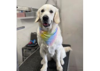 Jackie's pawz & clawz dog grooming