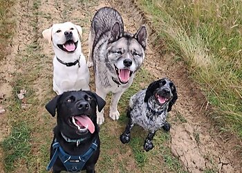 Jake's Adventures Petcare Ltd.