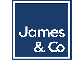 James & Co Surveyors