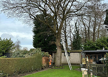 J and Son Trees and Landscapes