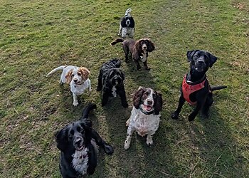 Jasper's Pet Services