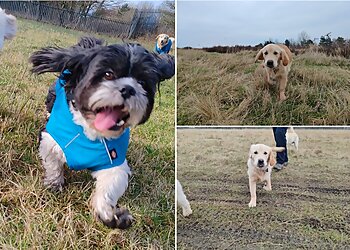 Jasper's Pet Services