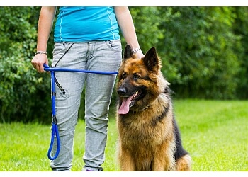 Jaycliffe Kennels & Cattery