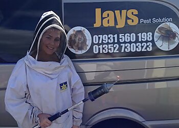 Flintshire pest control Jays Pest Solution image 1