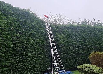 Jet Stream Landscape Gardening Services