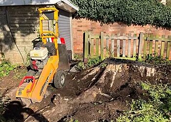 Joe Rice Tree Services