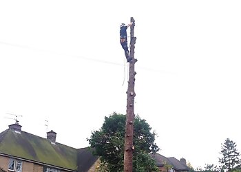 Joe Rice Tree Services