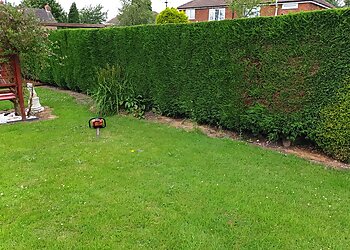 John's Gardening & Mowing Services