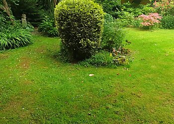 John's Gardening & Mowing Services