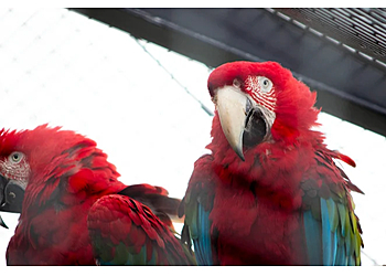 Johnsons of Old Hurst