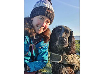 Jude Milne Dog Training & Pet Services