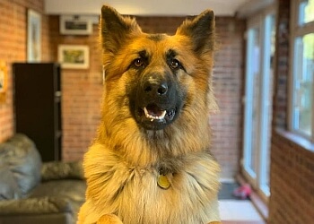 Julianna’s Kennels, Cattery & Grooming Parlour