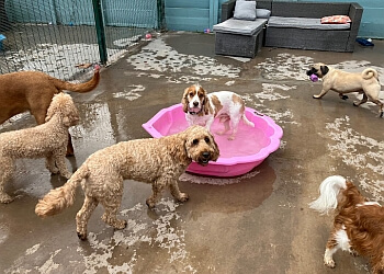 Solihull boarding kennels Julianna’s Kennels, Cattery & Grooming Parlour image 1