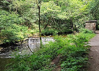 Jumbles Country Park