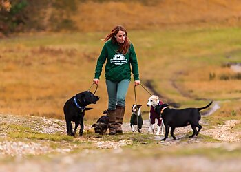 Jurassic Bark Dog Walking