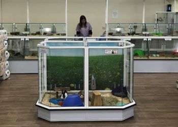 Just For Pets Worcester